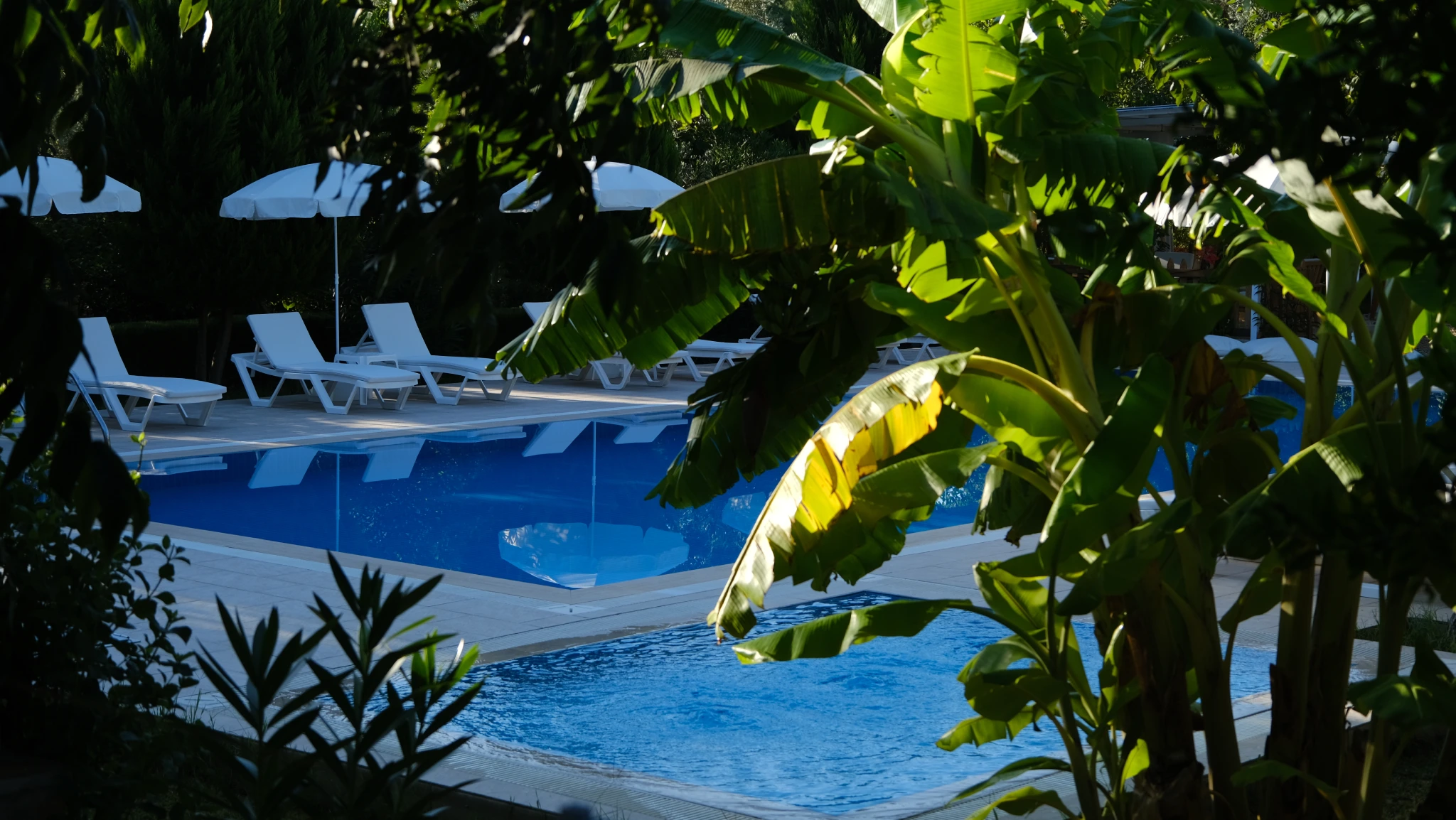 Standart XL galeri 2